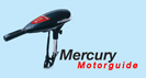 Mercury electric motors